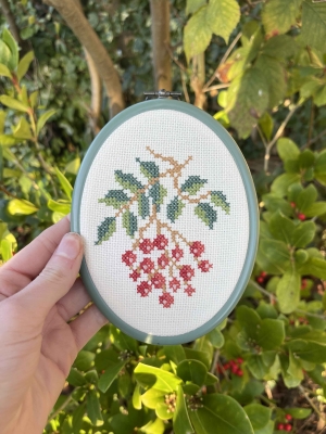 Winterâ€™s berries 
