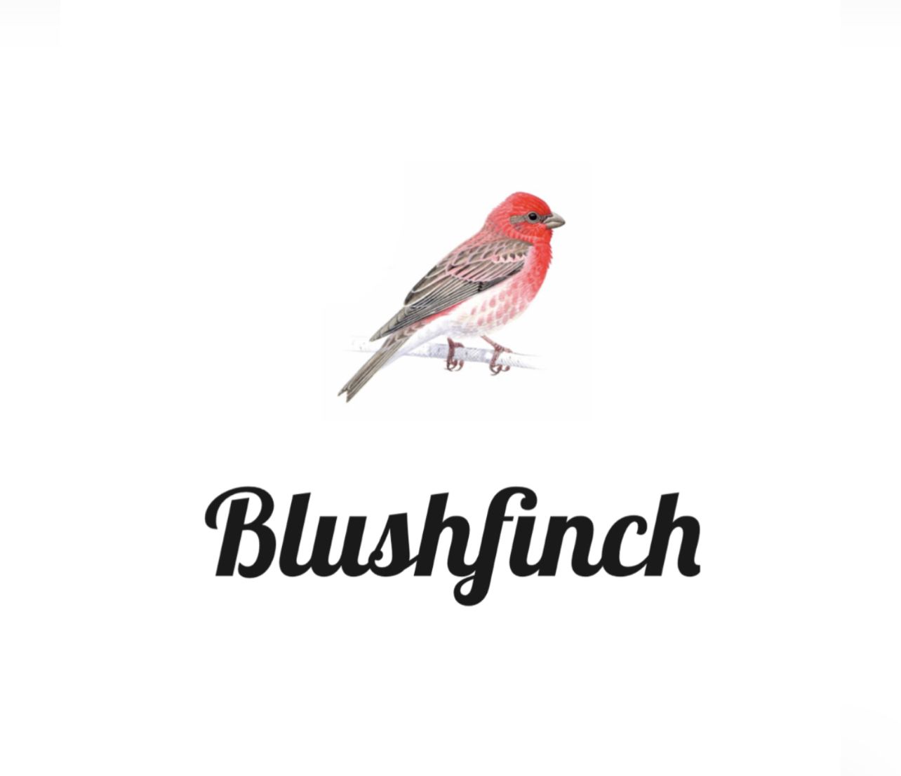 This shop is called Blushfinch 
