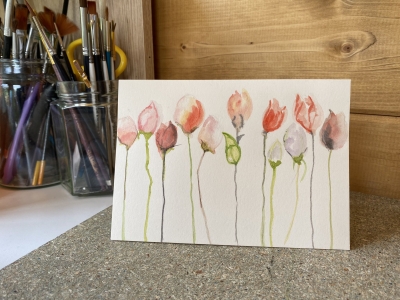 Delicate tulips