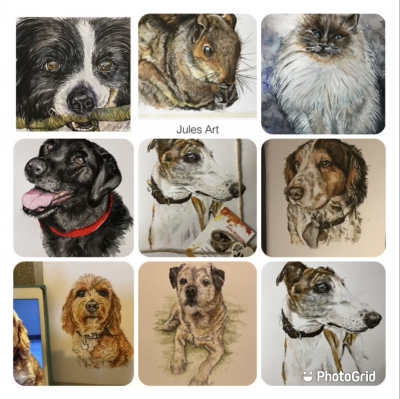 Pet Portrait Commissions 