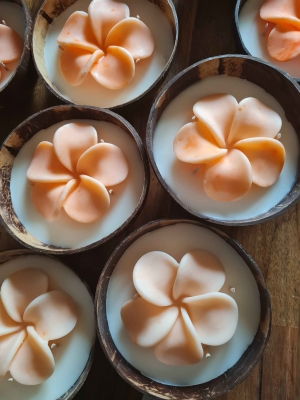 handmade-item handmade-gifts Scented candles in coconut shells Pear and Freesia 