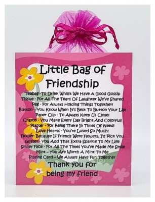 Little Bag of Friendship - Unique Fun Novelty Gift & Greetings Card All In One / Keepsake Gift / Present/ Best Friend Gift